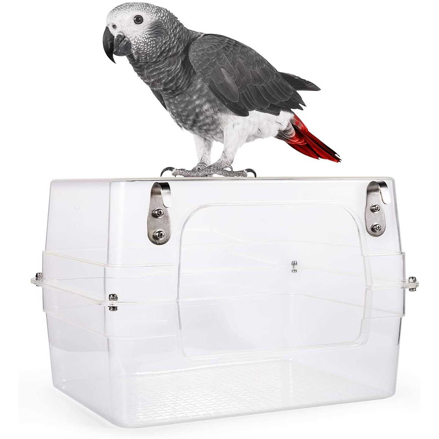 Colorday Large Bird Bath with Clear View