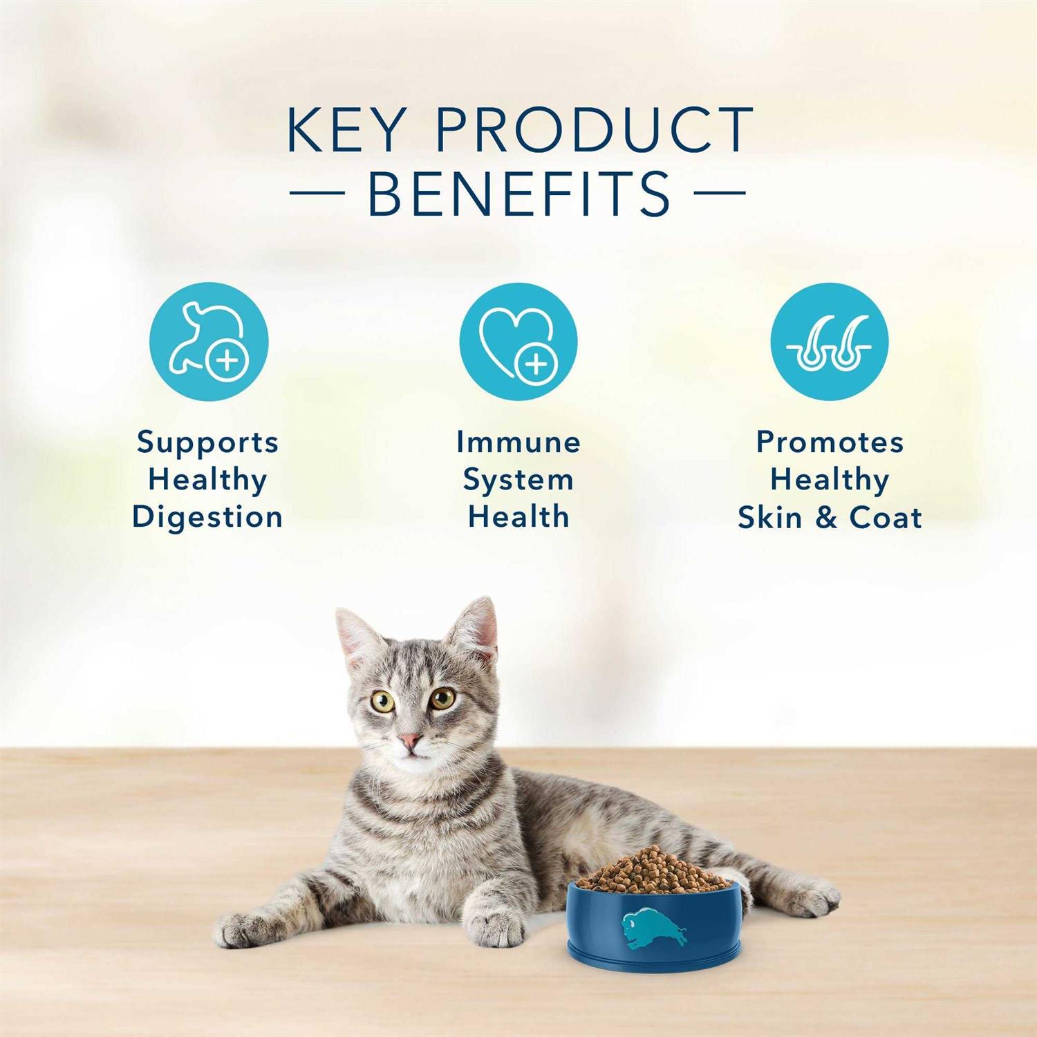 BLUE Basics Grain-Free Adult Indoor Dry Cat Food