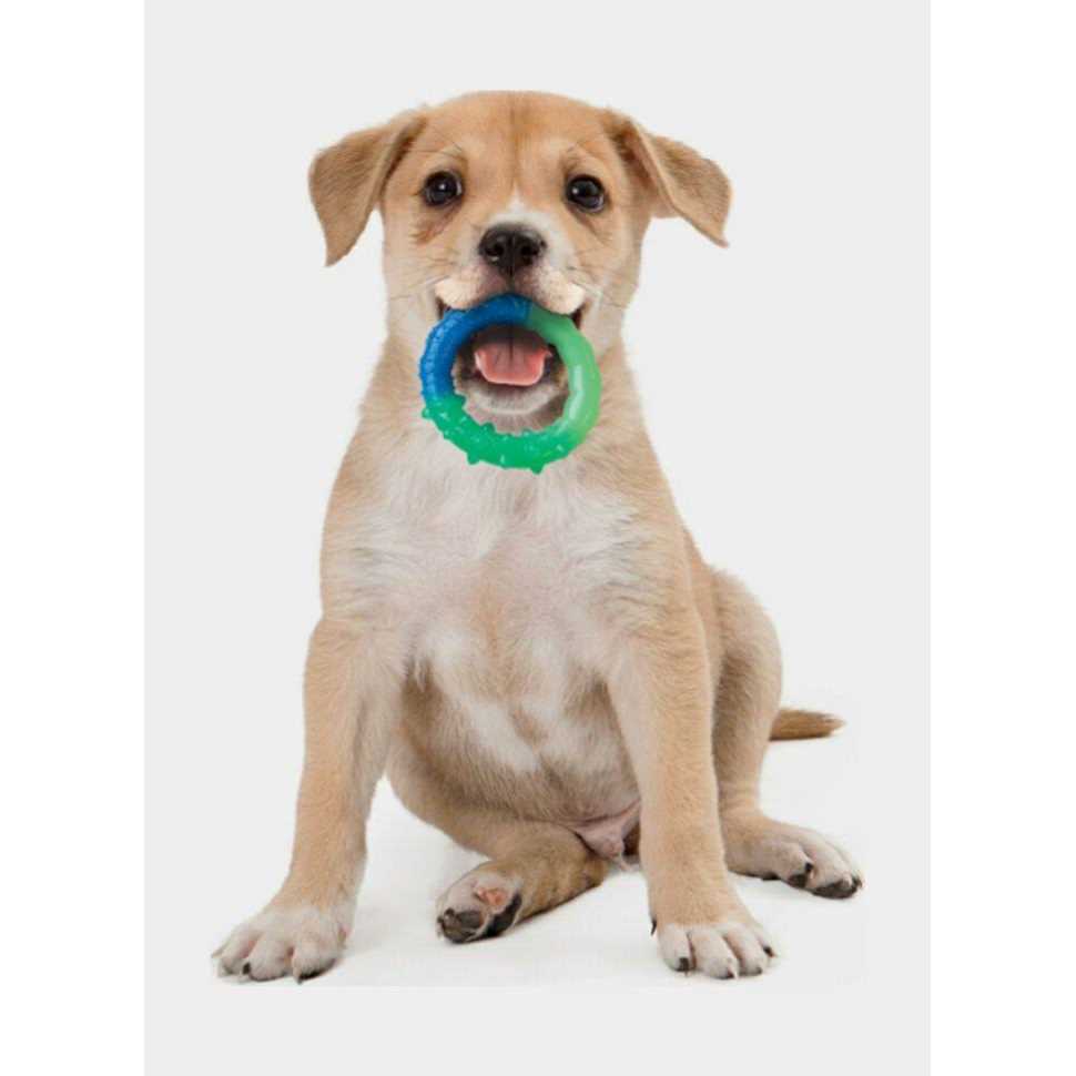 Petstages Grow With Me Ring Dog Toy