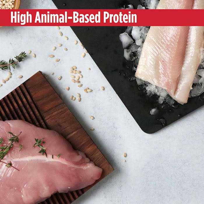 Nulo Grain Free Duck & Cod MedalSeries Adult Cat Dry Food