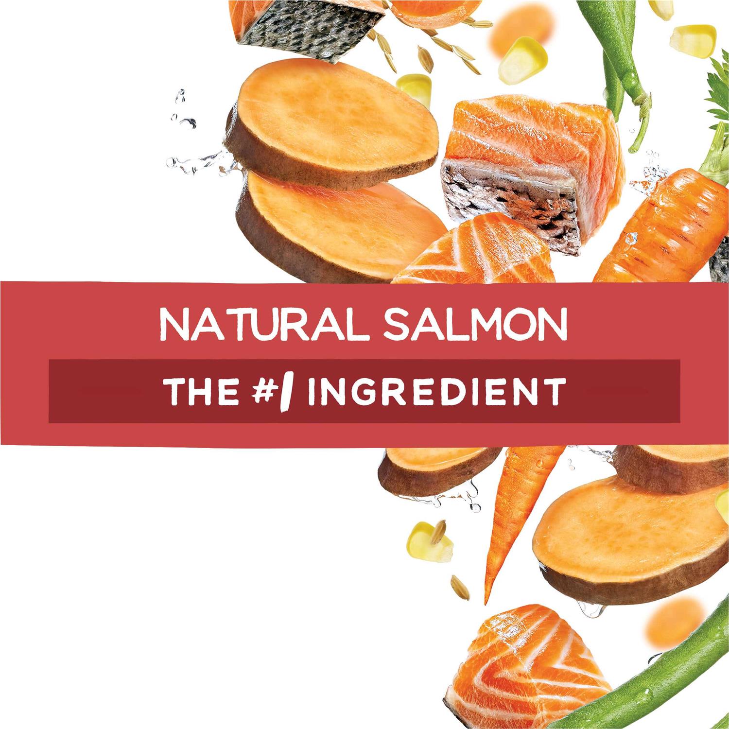 Purina Beneful Originals Salmon Dry Dog Food