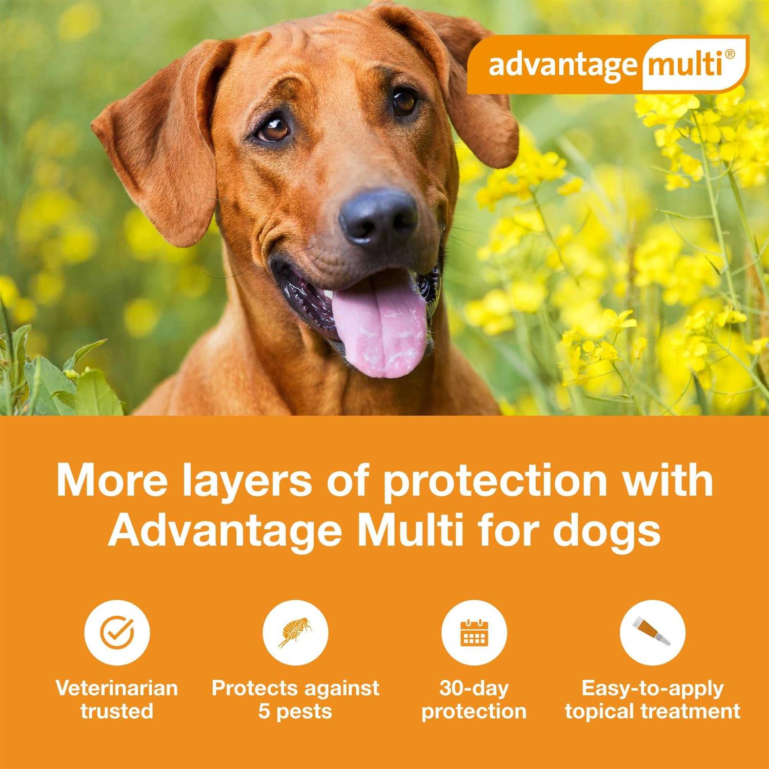 Advantage Multi for Dogs