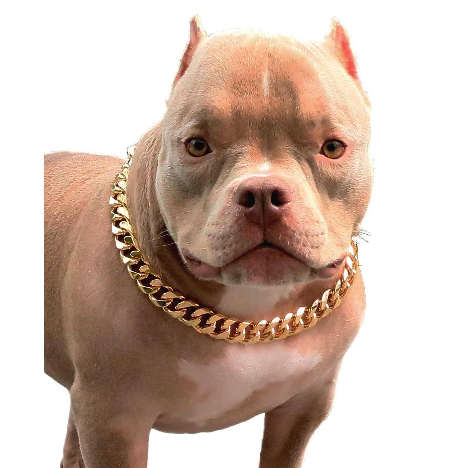 PP cOLOR gold chain Dog collar-34 Width cuban Link Dog Necklace