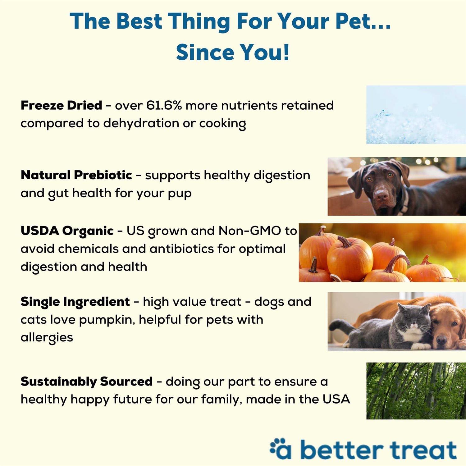 A Better Treat Pumpkin Organic Freeze-Dried Dog & Cat Treats