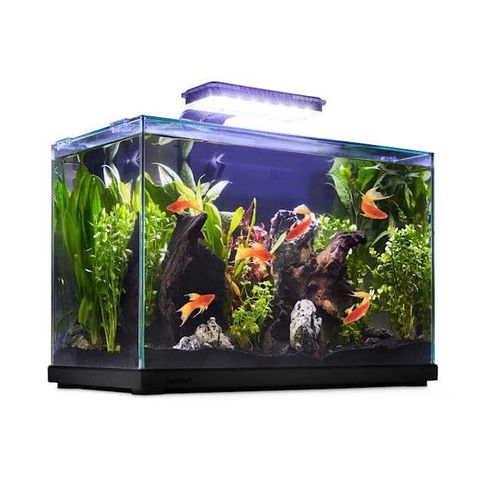 Imagitarium Glass Versa Aquarium