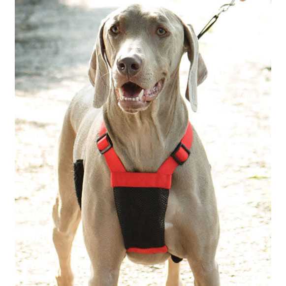 Sporn Mesh Non Pull Dog Harness
