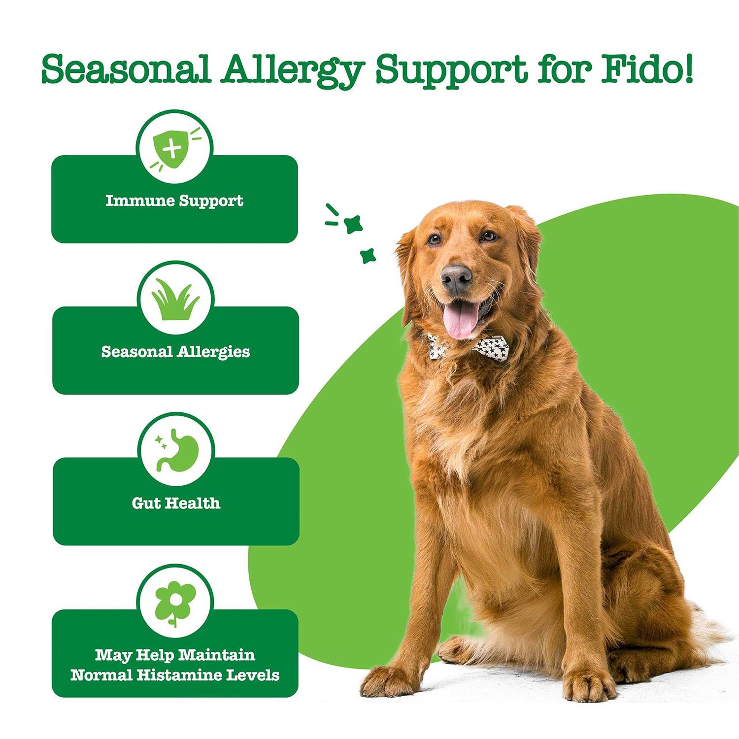 Zesty Paws Hemp Cheese Elements Allergy & Immune Bites for Dogs