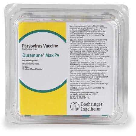 Rep Cal Phosphorus Free Calcium with Vitamin D3