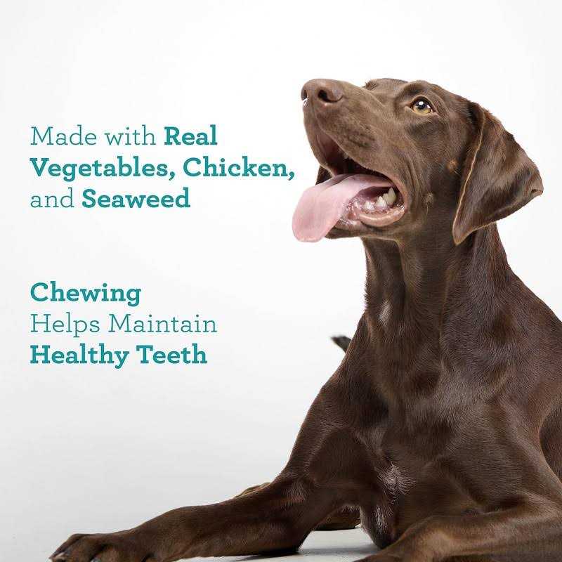 DreamBone Triple Action Dental Sticks