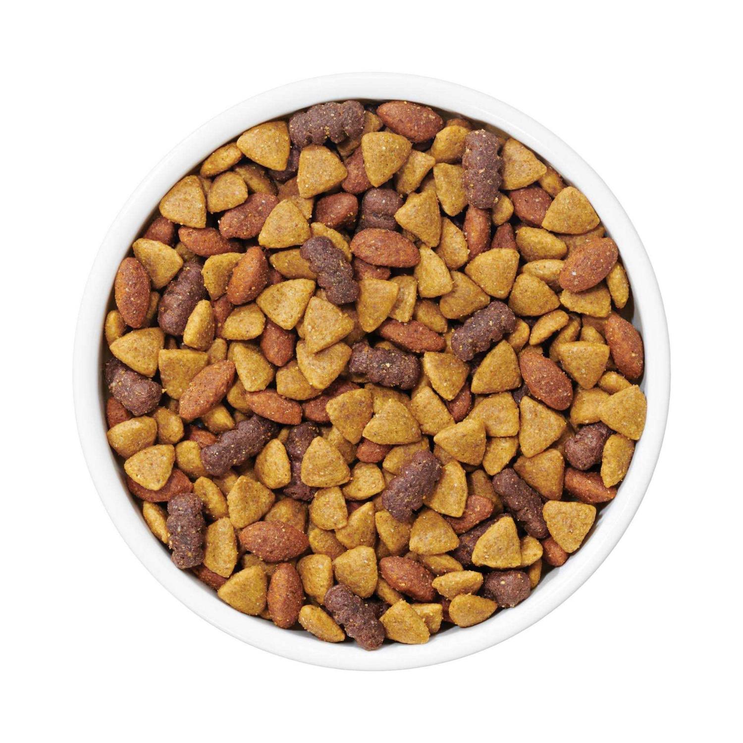 Dog Chow Purina Complete Adult Dry Dog Food