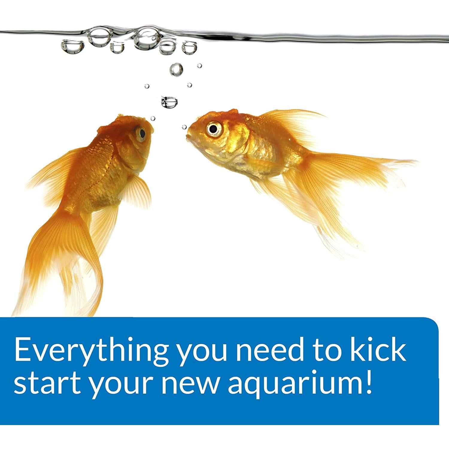 API Aquarium Start Up Pack