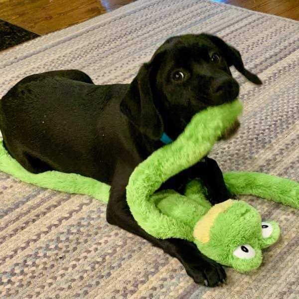 Multipet Dog Toy Swingin’ Slevins