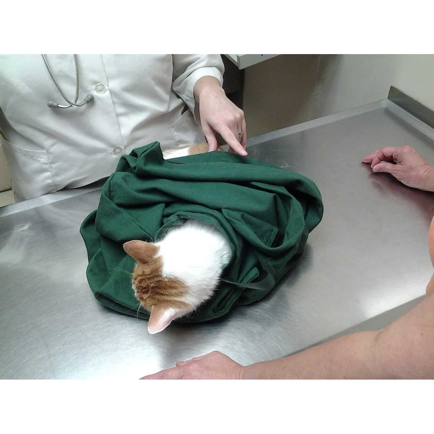 Cat-in-the-Bag Cozy Comfort Carrier