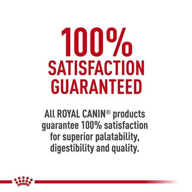 Royal Canin Appetite Control Spayed/Neutered 12+ Adult Dry Cat Food