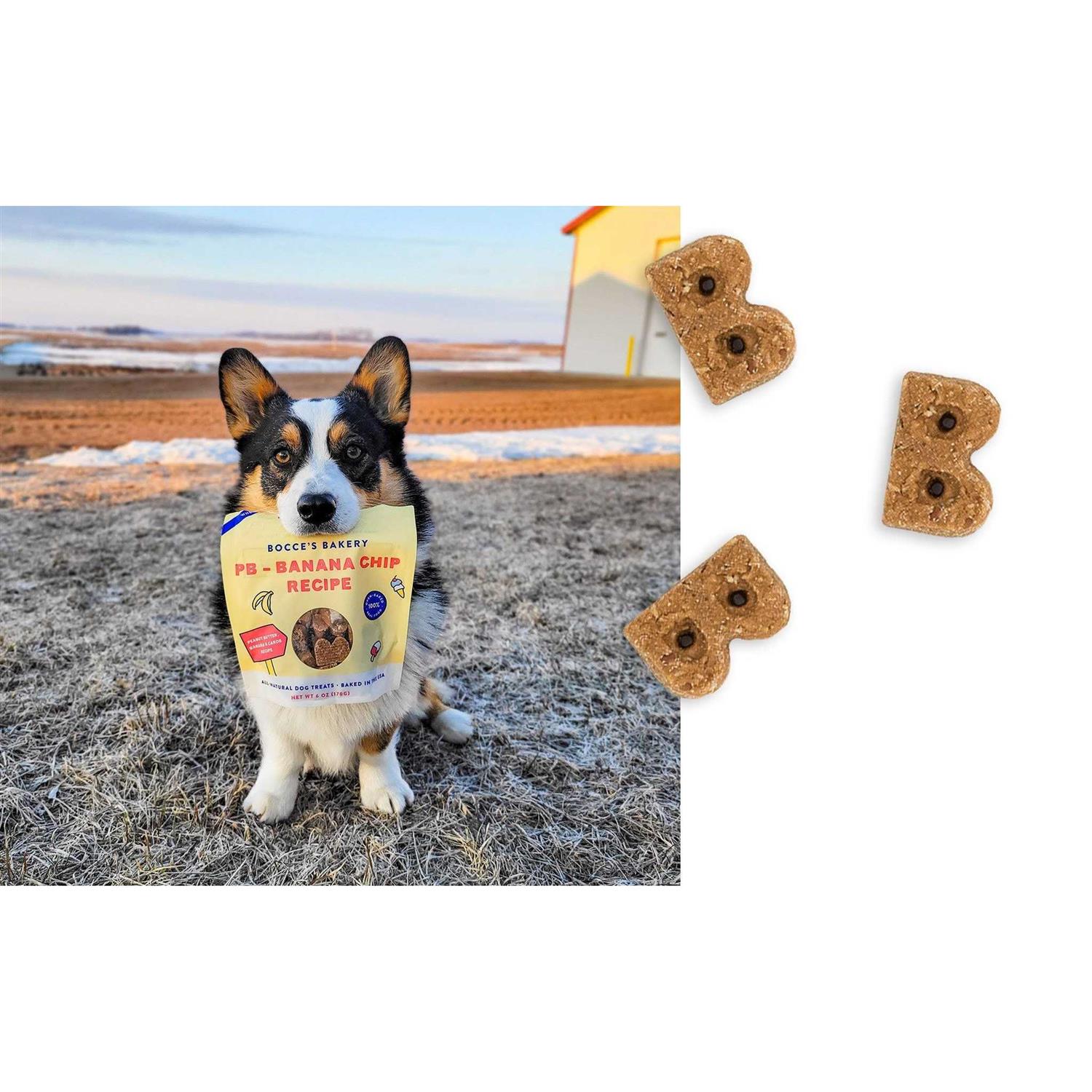 Bocce’s Bakery PB Banana Chip Soft & Chewy Dog Treats