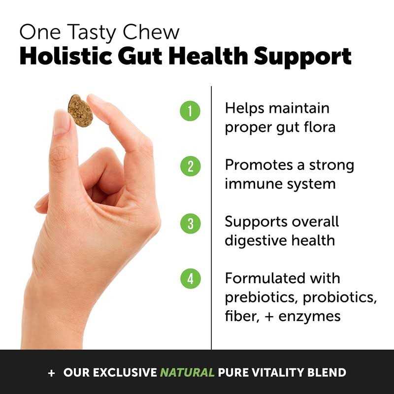 Pet Honesty Probiotics for Dogs Digestive Enzymes Promotes Gut Health