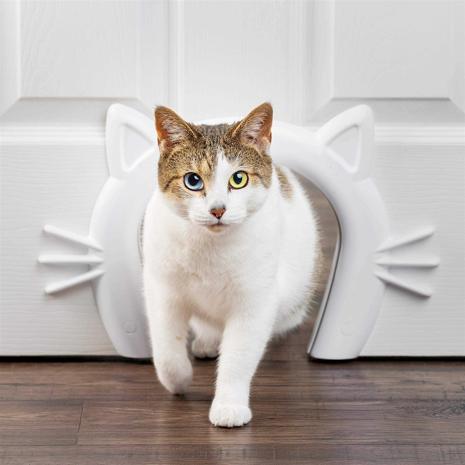 PetSafe Cat Door Cat Corridor for Interior Doors Adds Privacy, Keeps Dogs Out of Cats Space, Food, and Litter Box or Auto Feeder