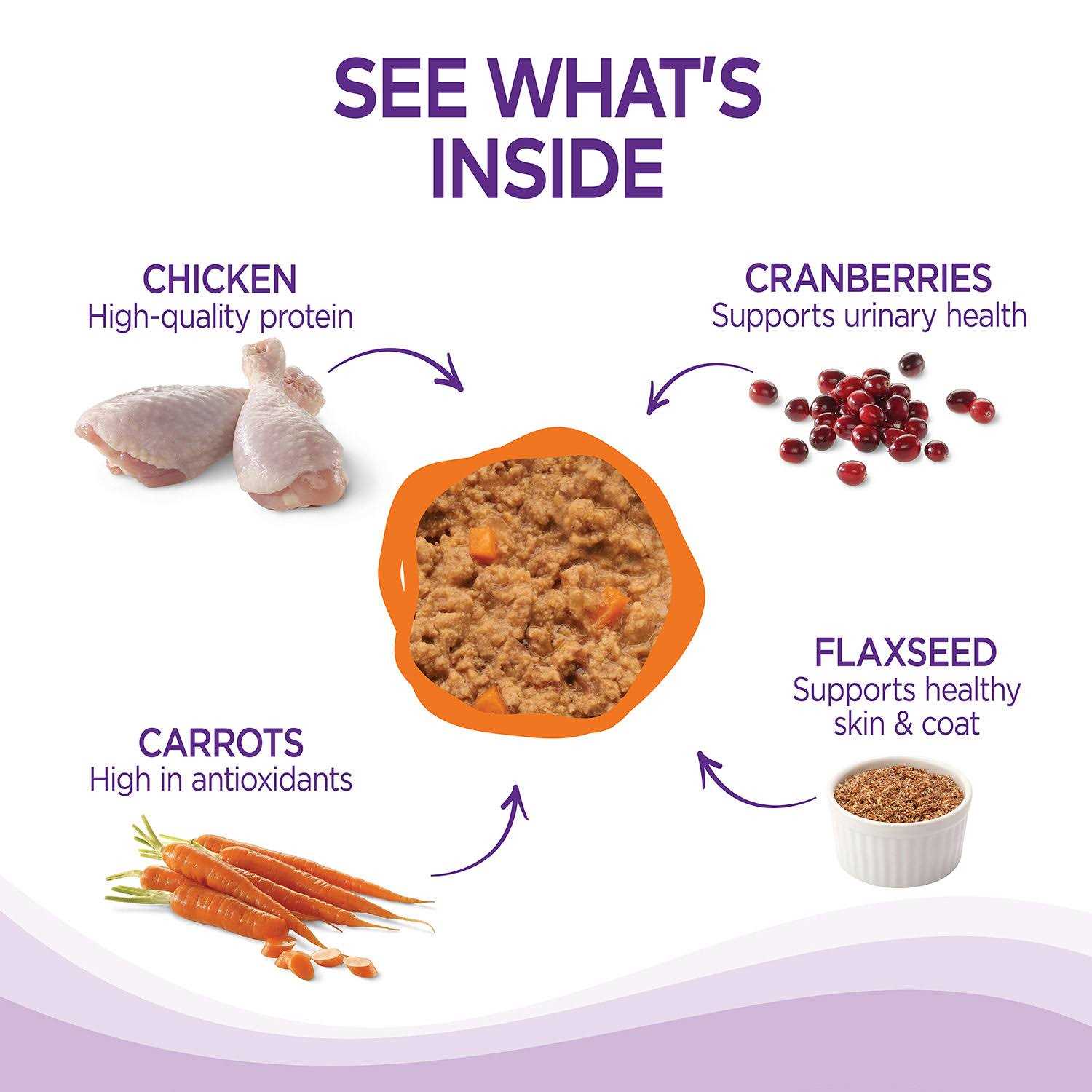 Wellness Complete Health Pâté