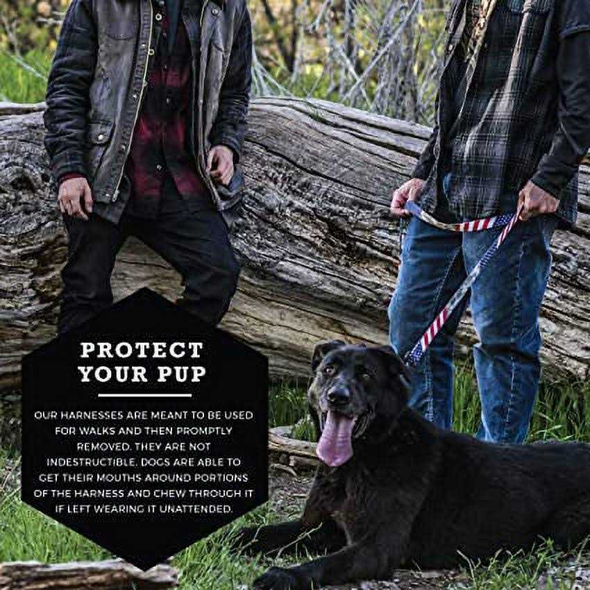 Wolfgang Premium No-Pull Dog Harness Dogs