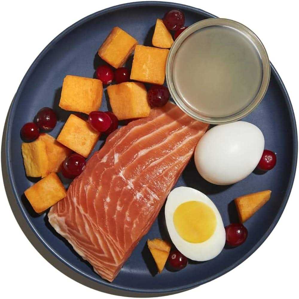 Made by Nacho Bone Broth Infused Sustainably Caught Salmon & Pumpkin Recipe Dry Cat Food