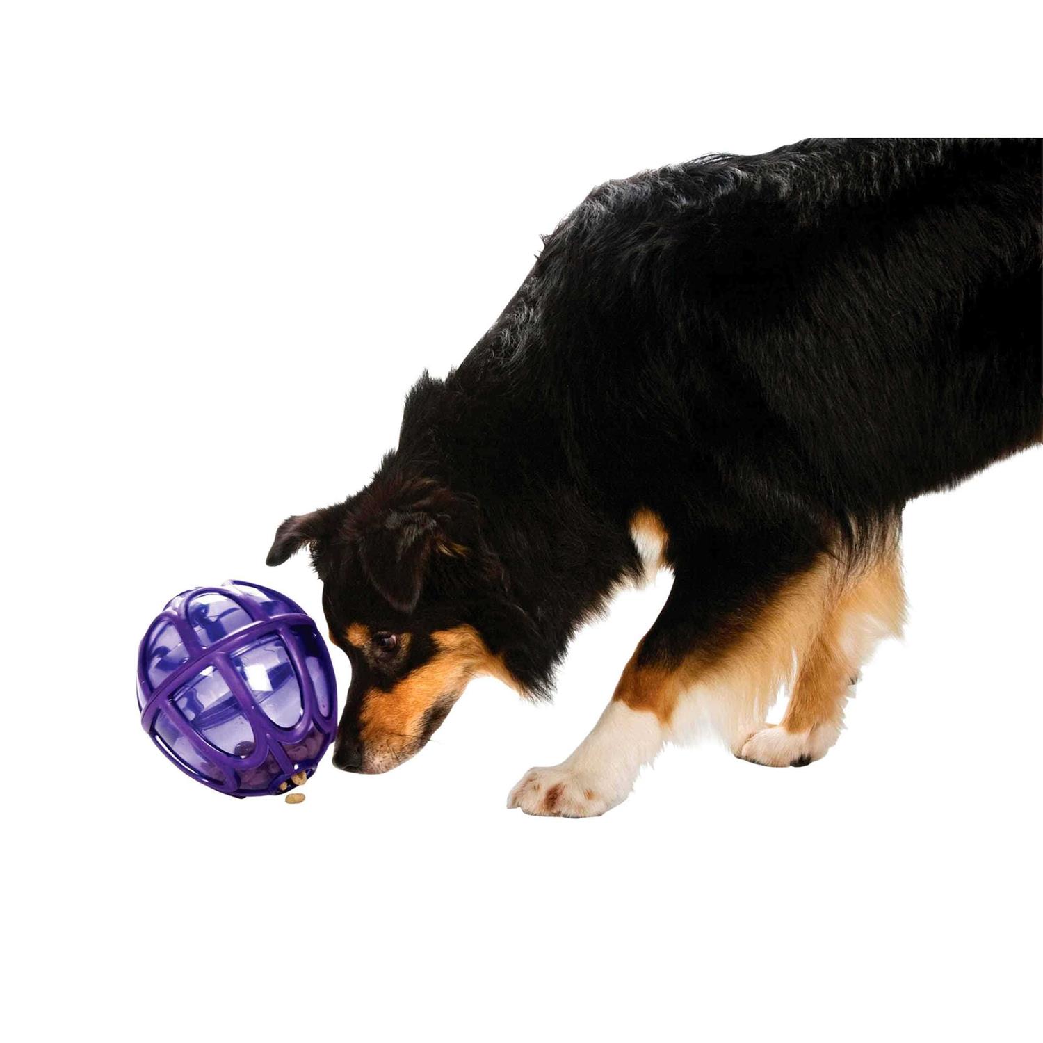 Busy Buddy Kibble Nibble Dog Toy