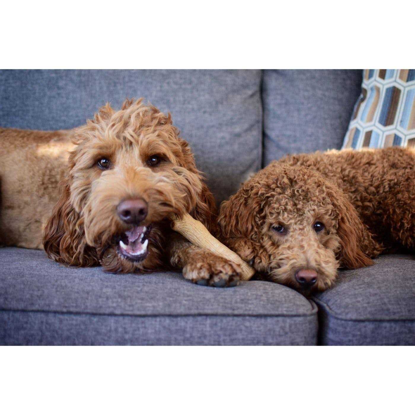 Rohto Hada Labo Shirojyun Reikan Bihaku Sherbet