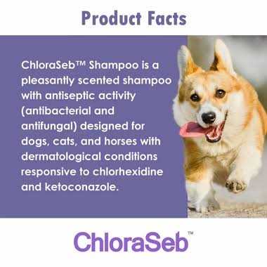 ChloraSeb Antiseptic Dog Shampoo