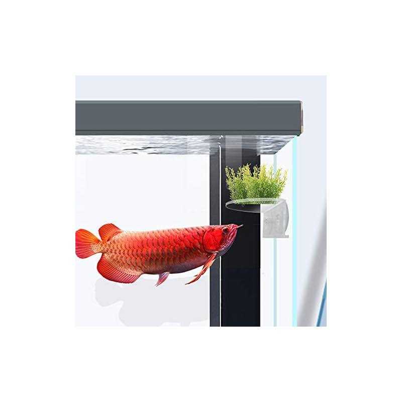 2Pack Aquarium Shelf,Transparent Acrylic Ledge Plants Holder for Substrate and Live Plants,with Strong Suction Cups for Fish Tank Multi-Layer