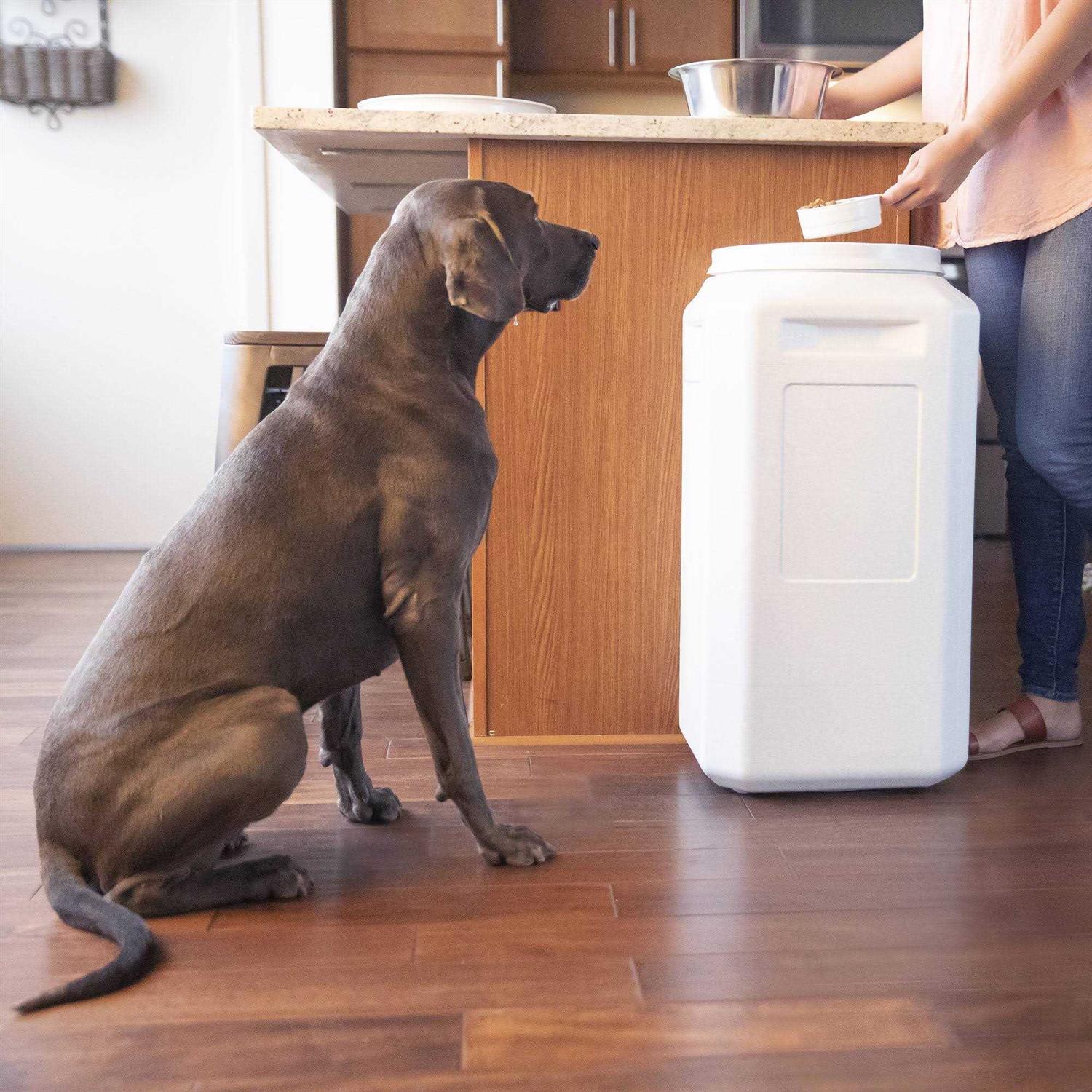 Vittles Vault Container Food Pet