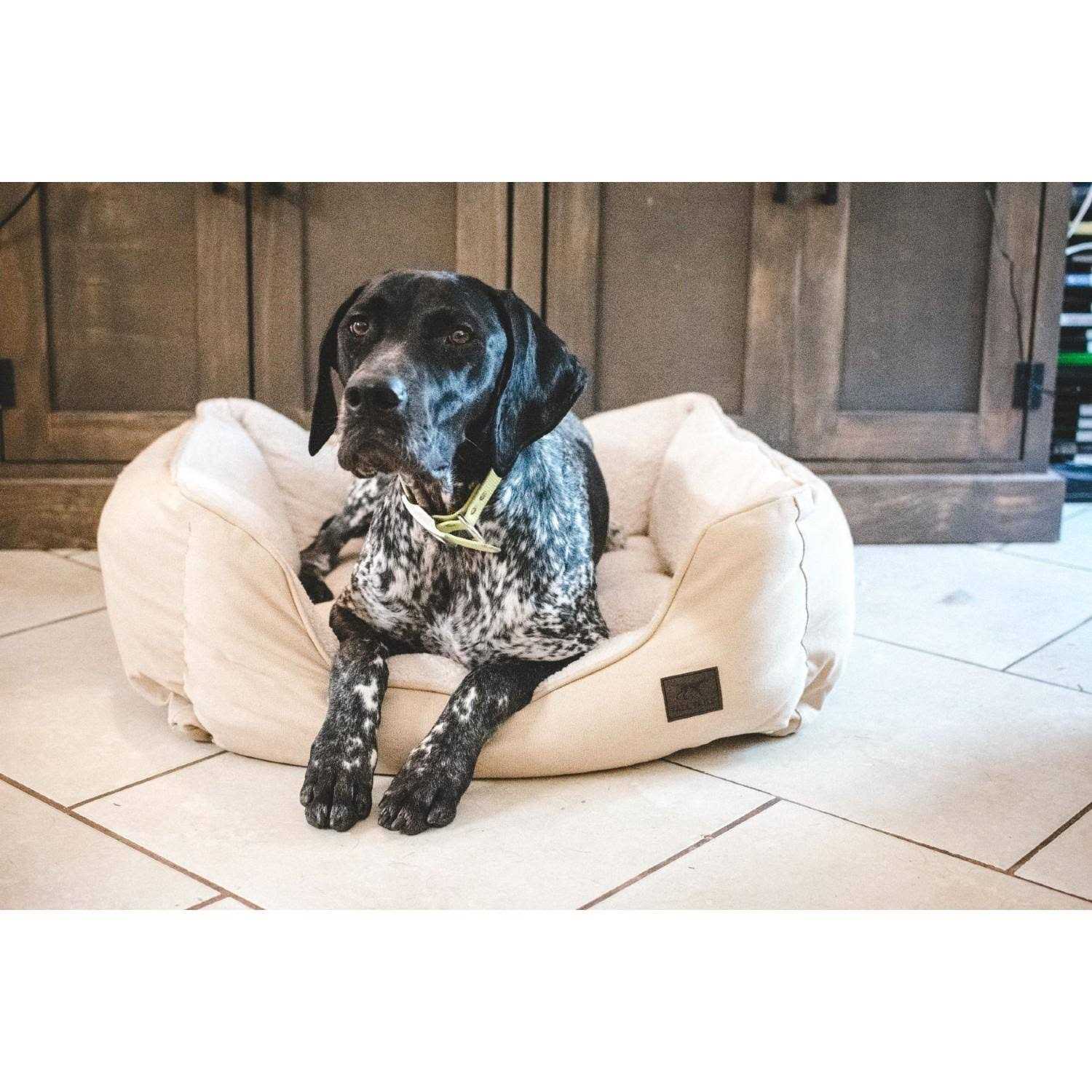 Tall Tails Dream Chaser Bolster Bed