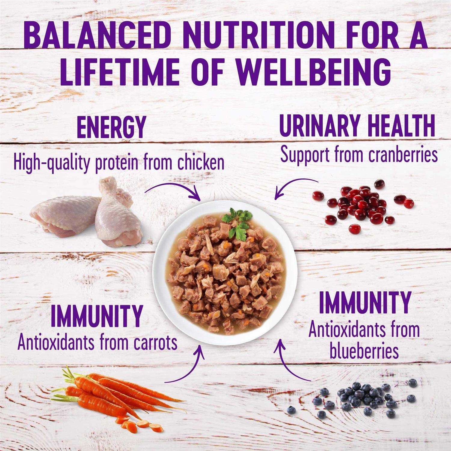 Wellness Healthy Indulgence Natural Grain Free Gravies and Gravy Cat Food Pouch