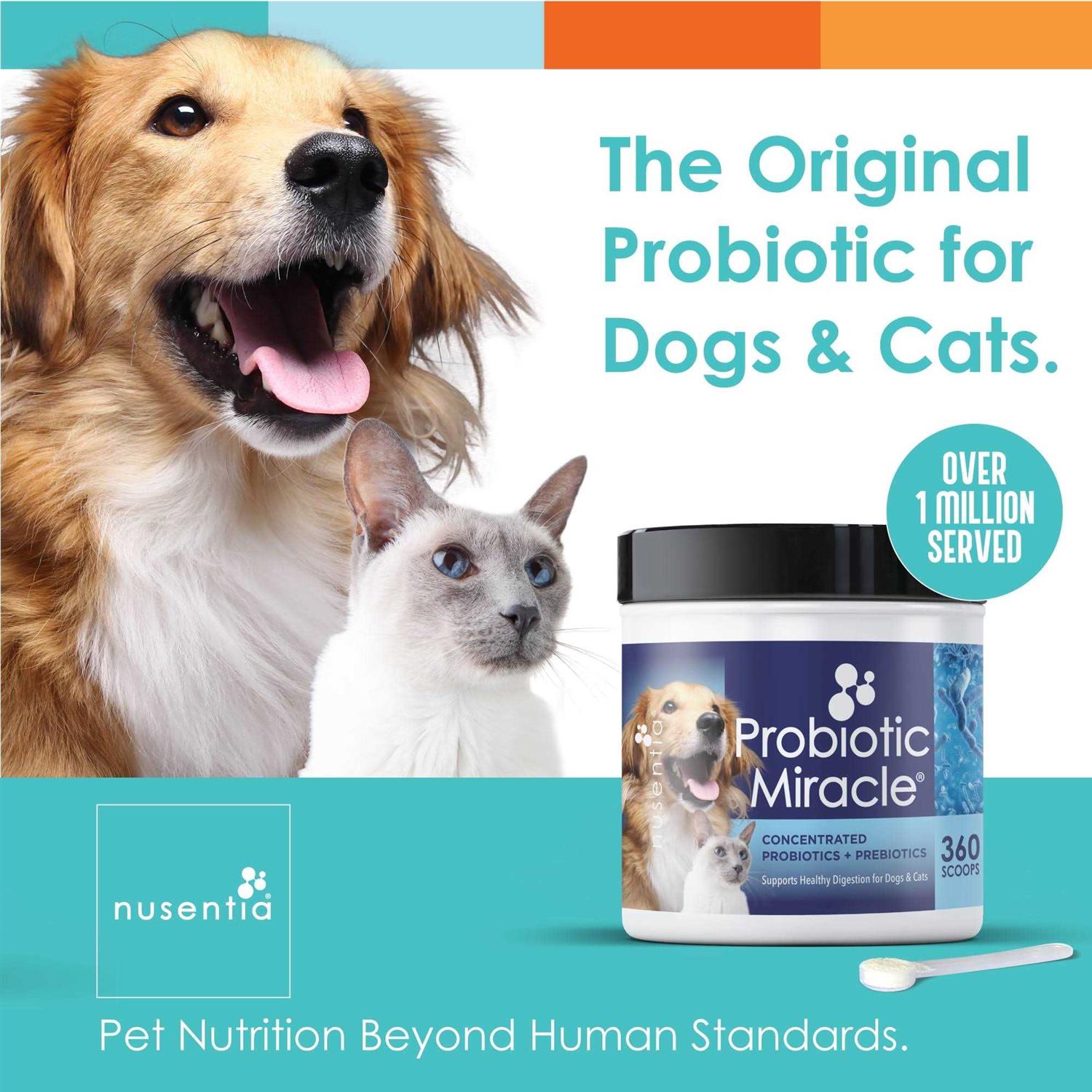 Nusentia Probiotic Miracle Probiotics for Dogs
