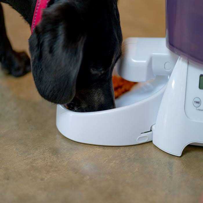 Cat Mate Automatic Dry Pet Food Feeder C3000
