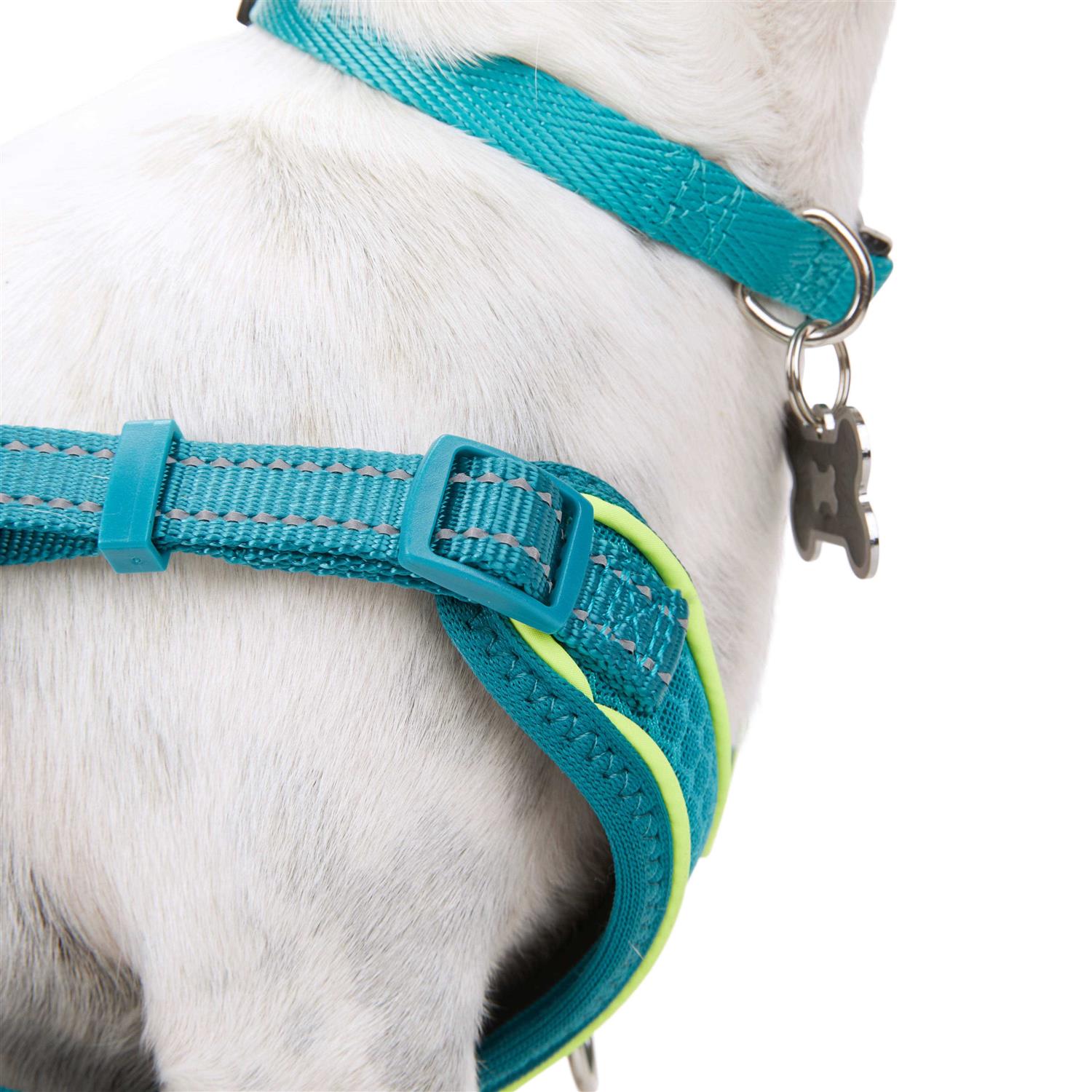 EveryYay Embrace The Pace Reflective Dog Harness