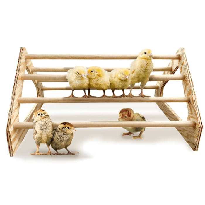 Backyard Barnyard Chick Perch Roosting Bar Toy for Chicks Brooder Box Made in USA