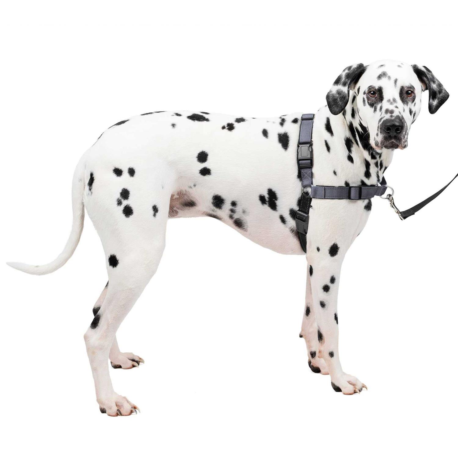 PETSAFE Easy Walk Harness