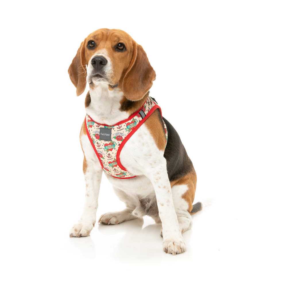 FuzzYard Step Harness