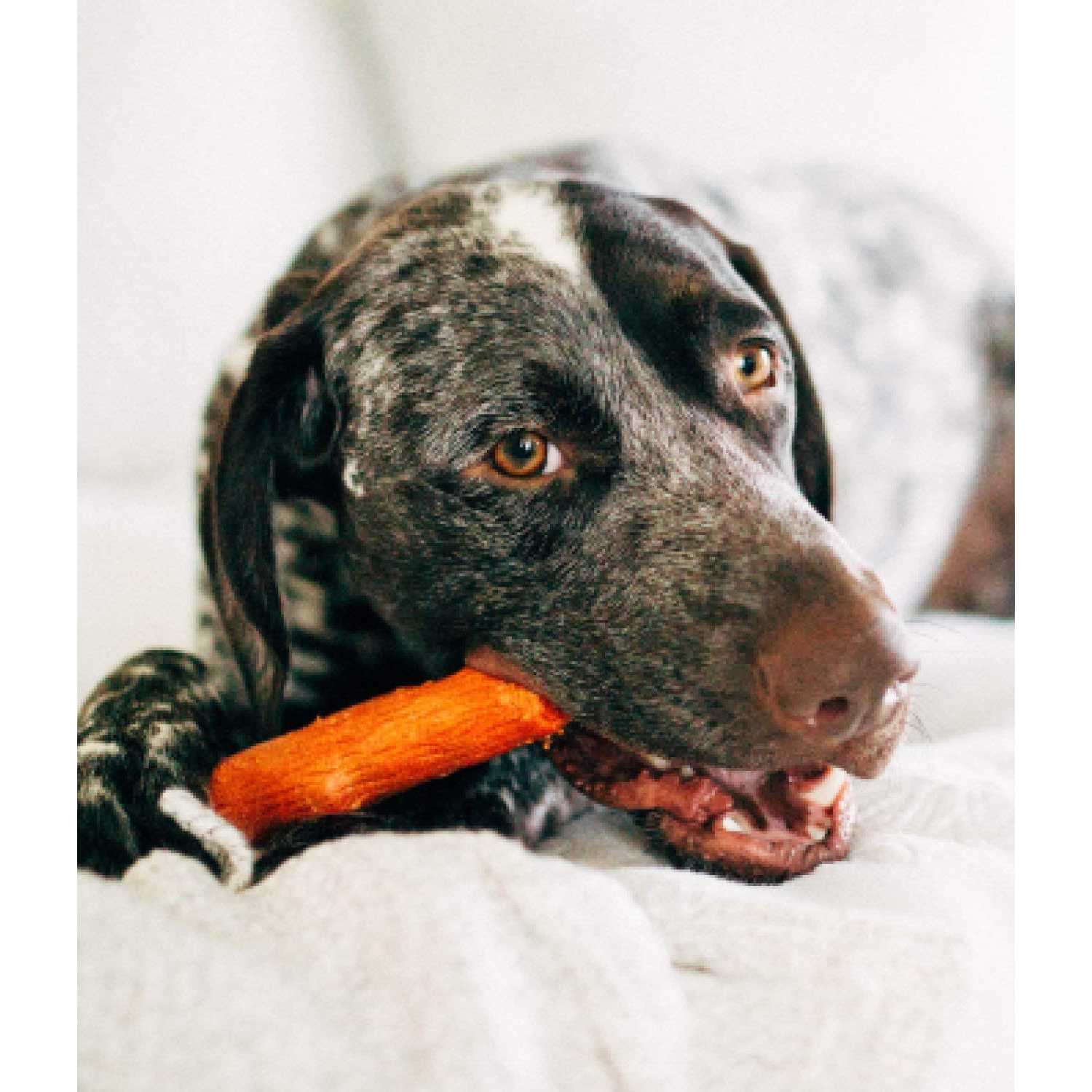 Petstages Medium Dogwood Calming Dog Chew Toy