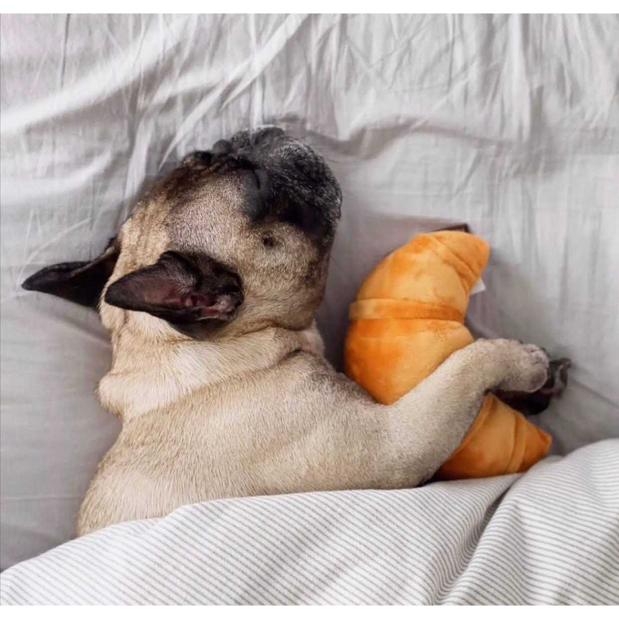 P.L.A.Y. Barking Brunch Dog Toy Pup’s Pastry