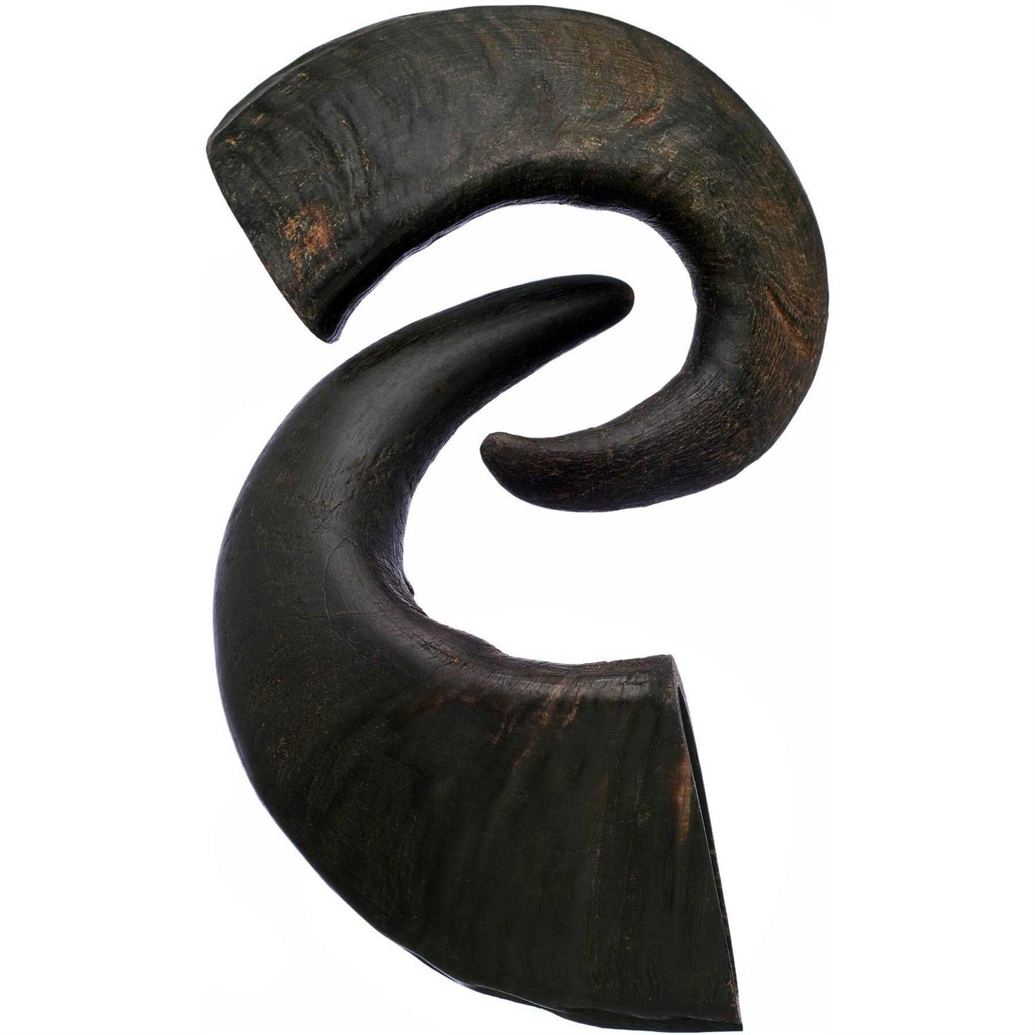 Bones & Chews Water Buffalo Horn Dog Treat