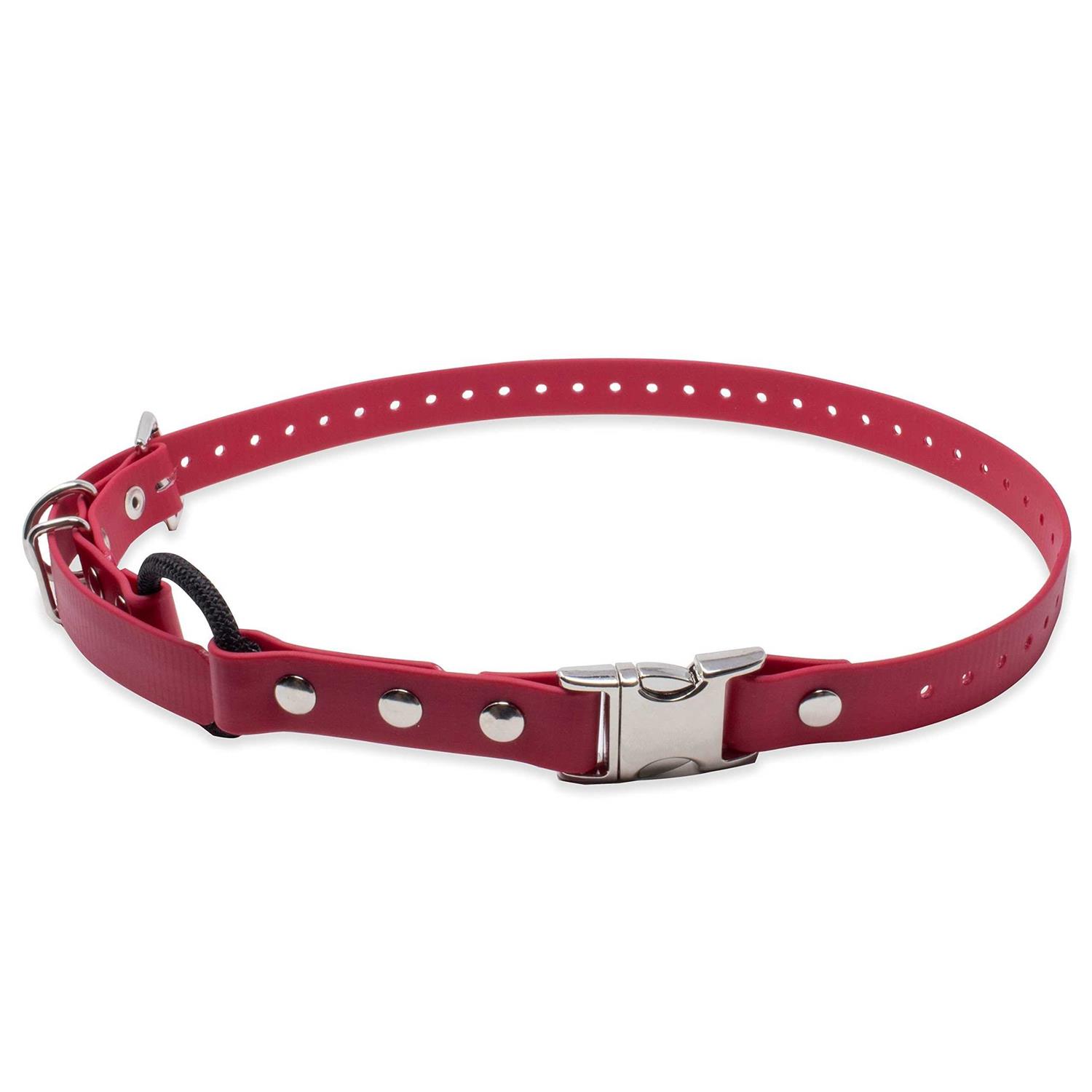 Educator Quick Snap Bungee Collar