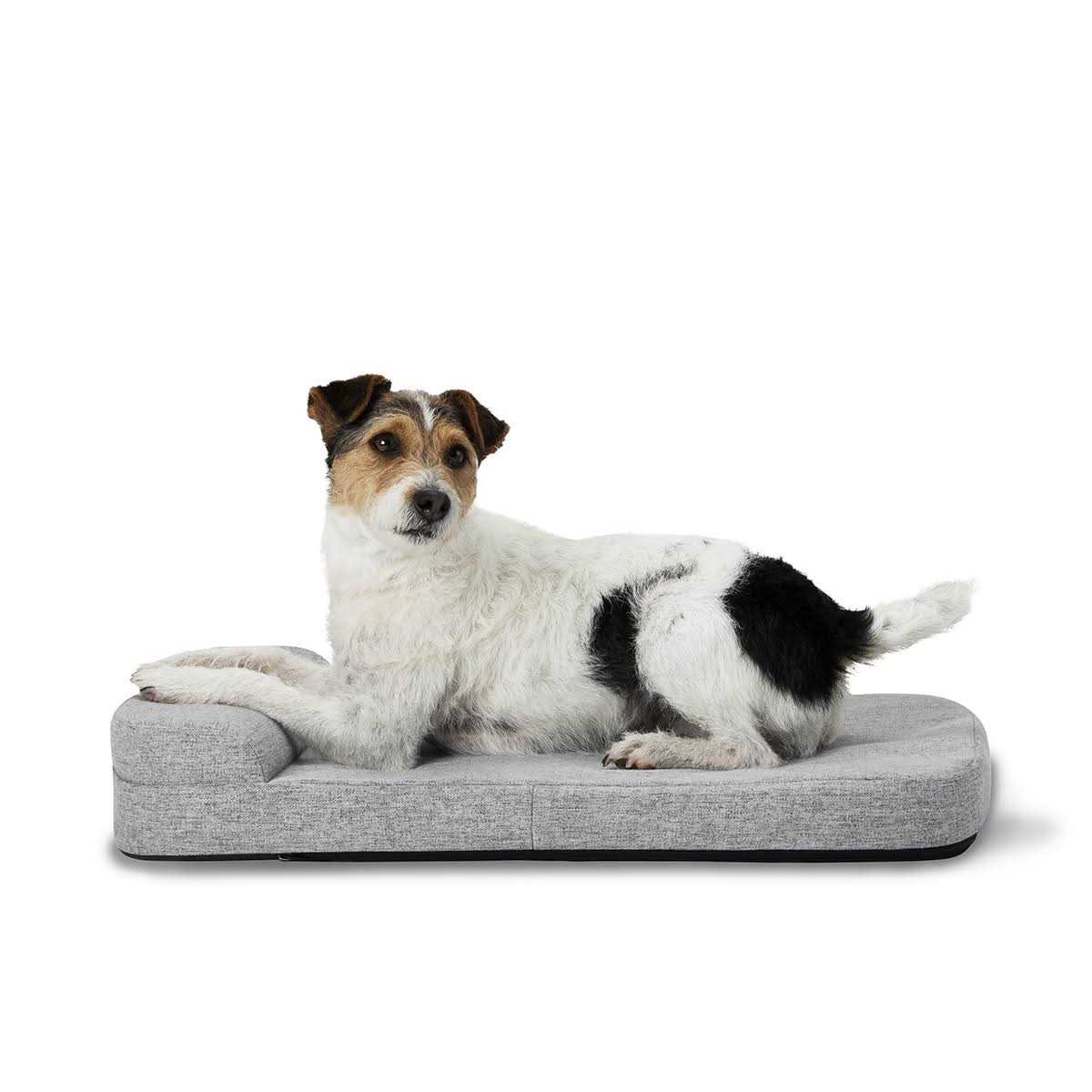 Diggs Bolstr Dog Bed
