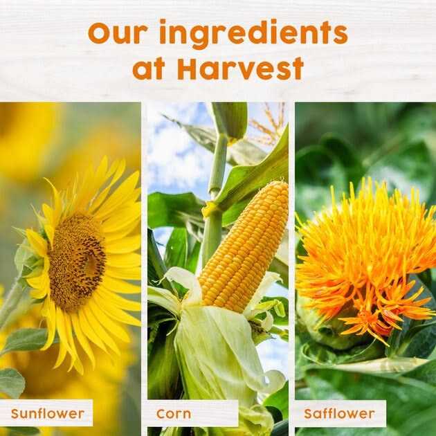 Harvest Seed & Supply Hot Pepper Snack Stack Corn Free Wild Bird Food