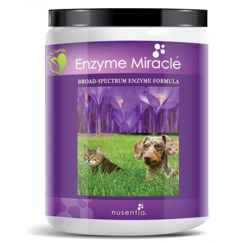 Enzyme Miracle Digestive