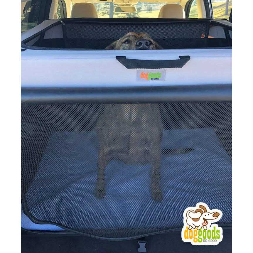 DogGoods Do Good The Foldable Travel Dog Crate