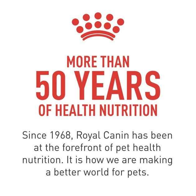 Royal Canin Veterinary Diet Adult Renal Support Early Consult Loaf in Sauce Canned Cat Food