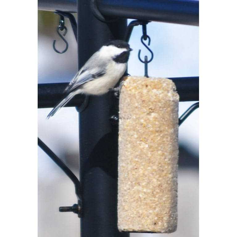 C&S Rtu Peanut Delight Log