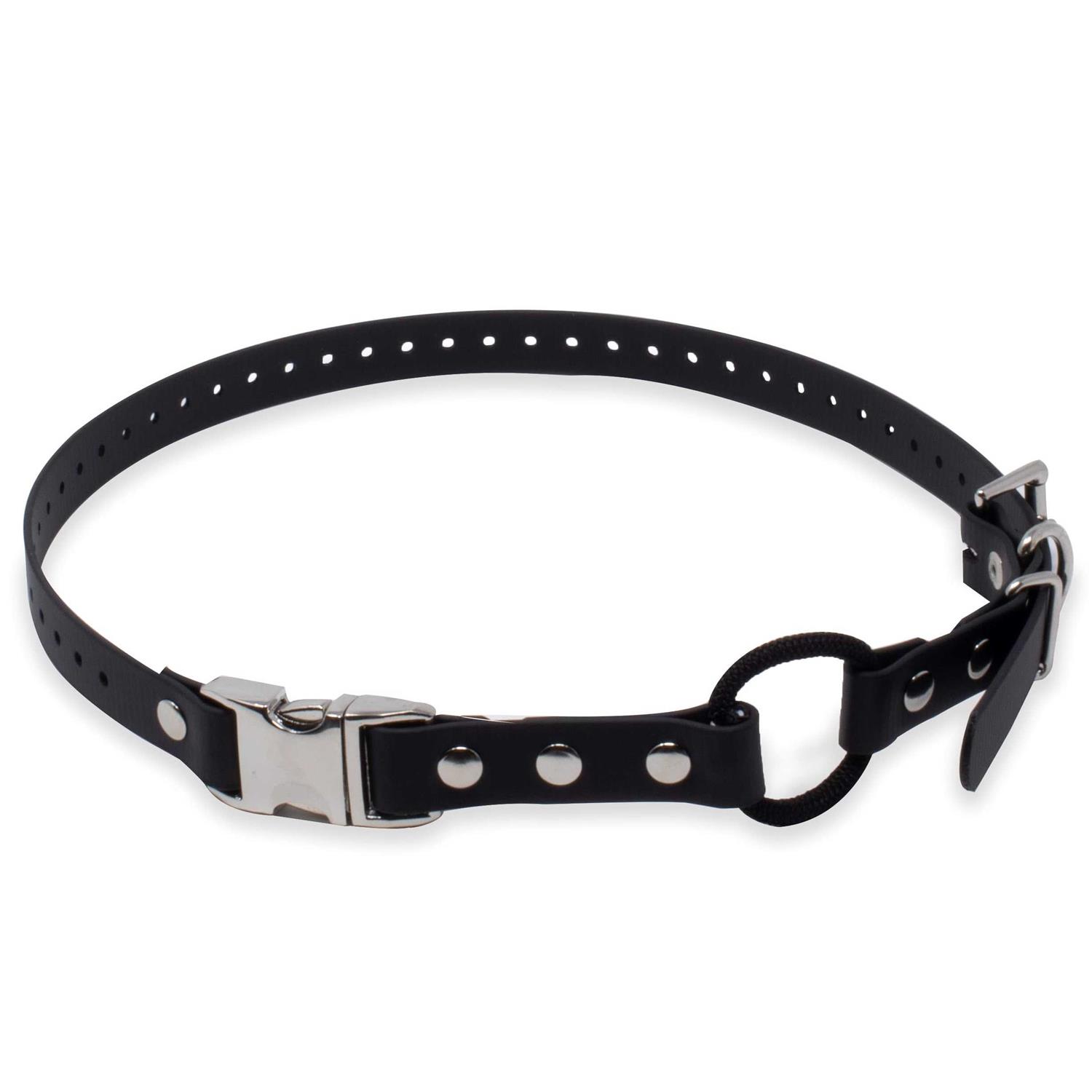 Educator Quick Snap Bungee Collar