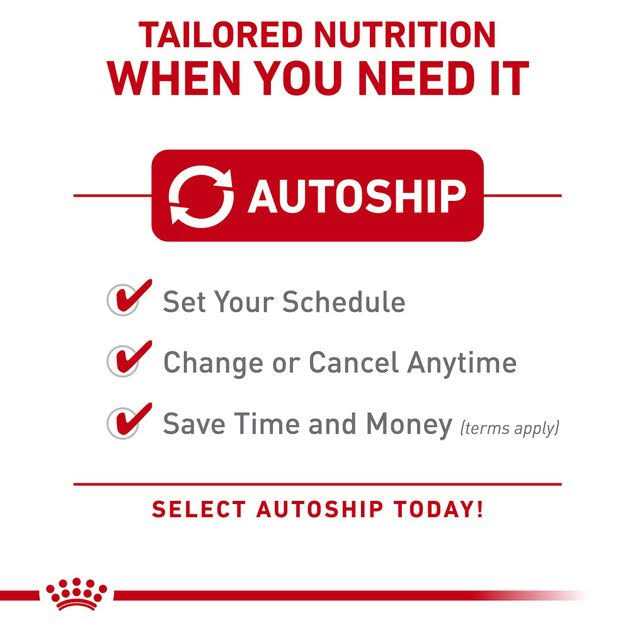 Royal Canin Veterinary Diet Canine Renal Support Early Consult Dry Dog Food