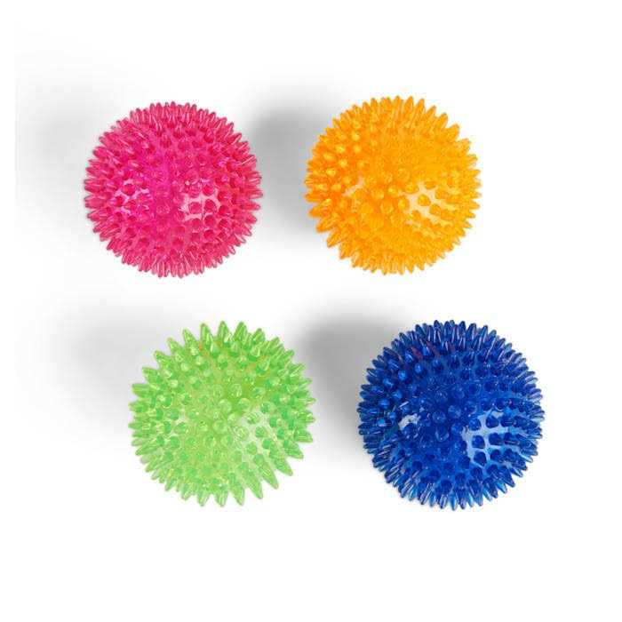 Leaps & Bounds Spiny Ball Dog Chew Toy